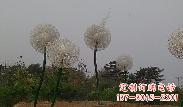 临沂蒲公英的绚丽多彩