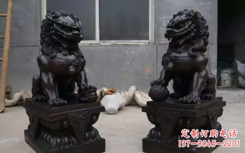 临沂踩球镇的狮子之家