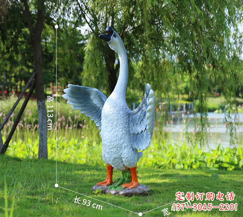 临沂站立的灰色展翅天鹅